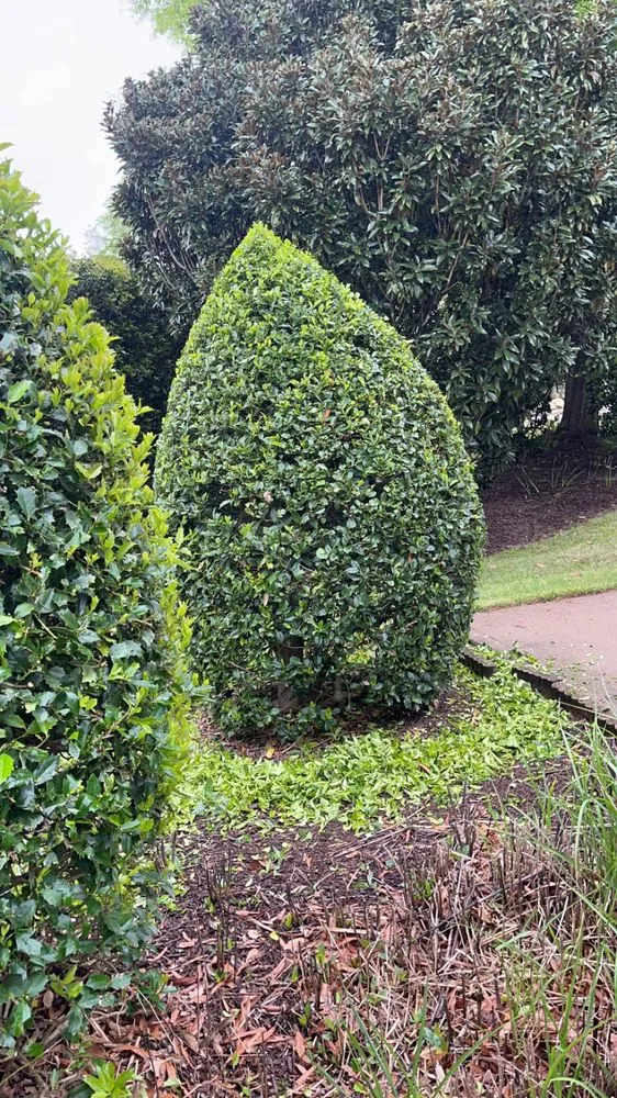 Expert garden landscaping experts serving Fountain Inn, SC - Prideful Lawns & Landscaping