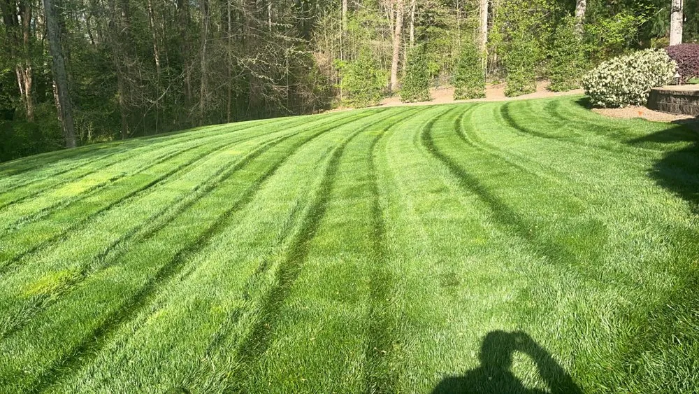 Professional yard maintenance experts serving Fountain Inn, SC - Prideful Lawns & Landscaping