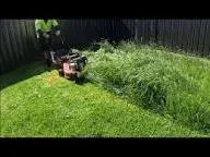 Affordable lawn care service experts serving Holley, NY - Priest Holdings