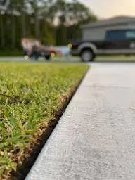 Top-rated yard cleanup service experts serving Holley, NY - Priest Holdings