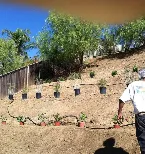 Professional landscaping services for outdoor upgrades across Hemet, CA - Priest Landscape Services