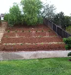 Affordable outdoor landscaping for beautiful yards in Hemet, CA by Priest Landscape Services