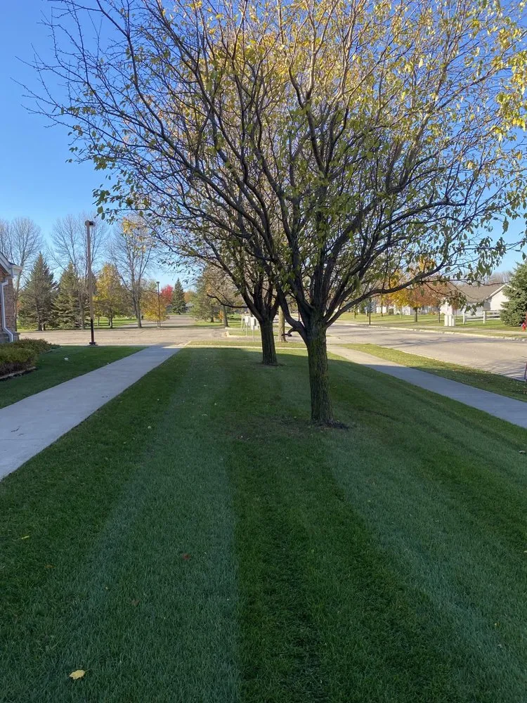 Trusted landscape installation for year-round maintenance across Darwin, MN - Prieve Lawn Care