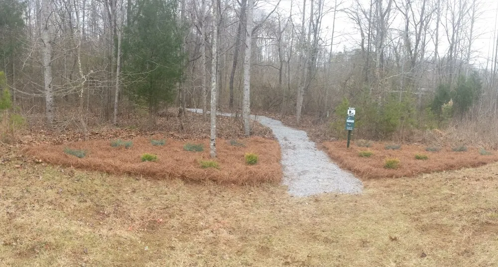 Reliable lawn care service for beautiful yards across Ridgeway, VA - Prillaman Landscape Dimensions