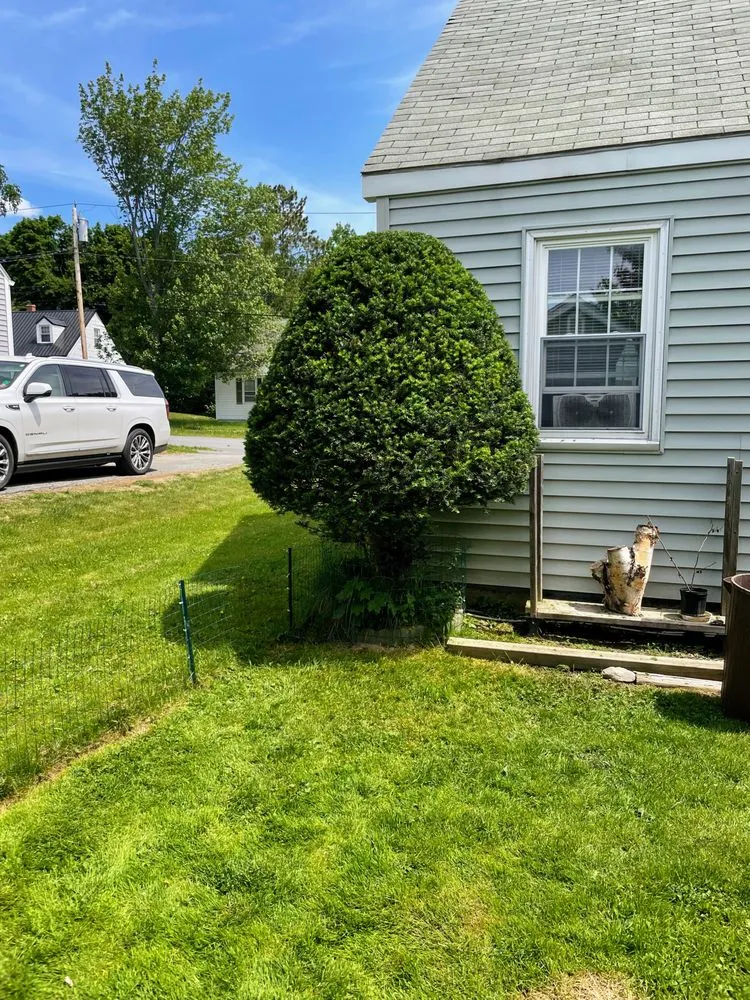 Top-rated outdoor landscaping in Bangor, ME - Prim and Properties