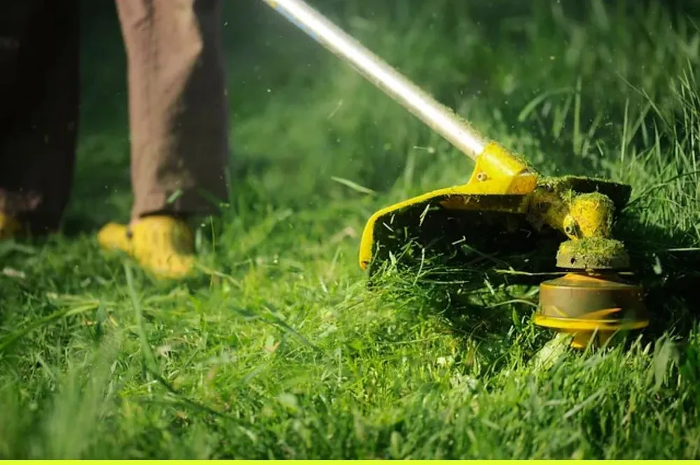 Expert yard cleanup service experts serving Pleasant Gap, PA - Prim Rose Yard Pros