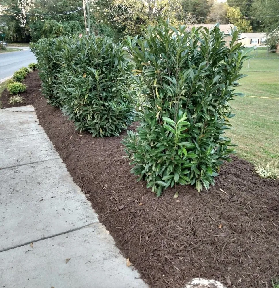 Local lawn care service for outdoor upgrades in Dallas, NC by Primal landscaping