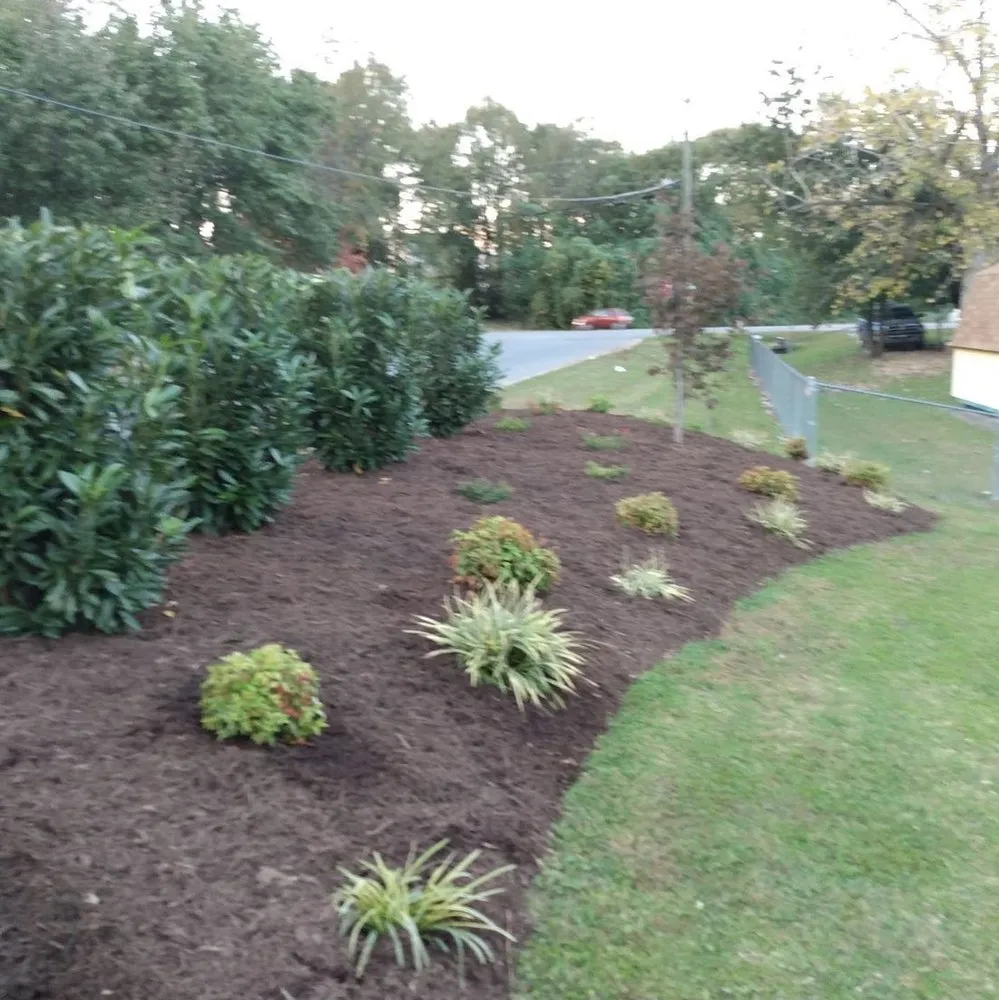 Trusted lawn care service near you in Dallas, NC by Primal landscaping