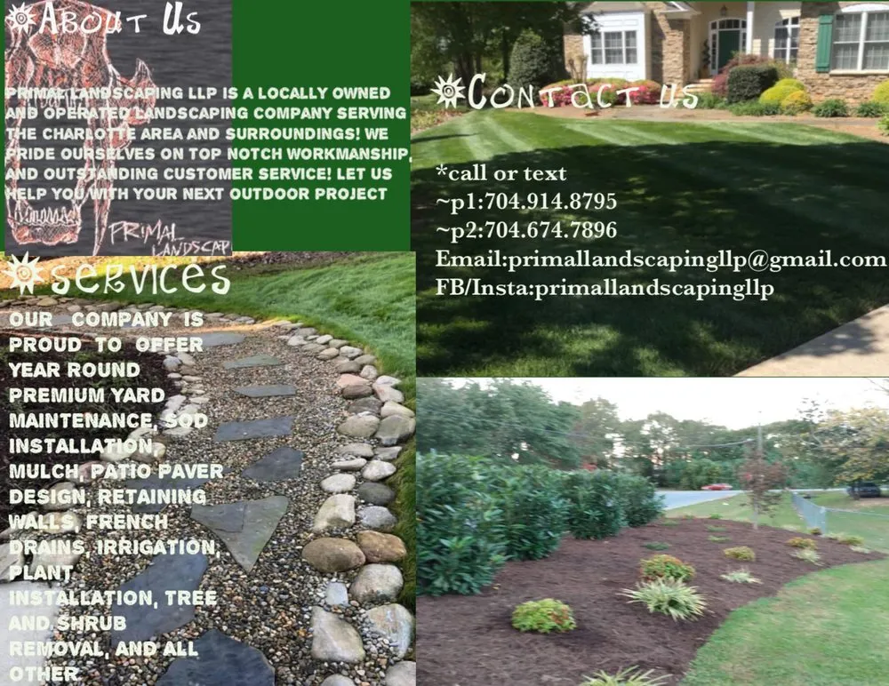 Expert yard cleanup service in Dallas, NC - Primal landscaping