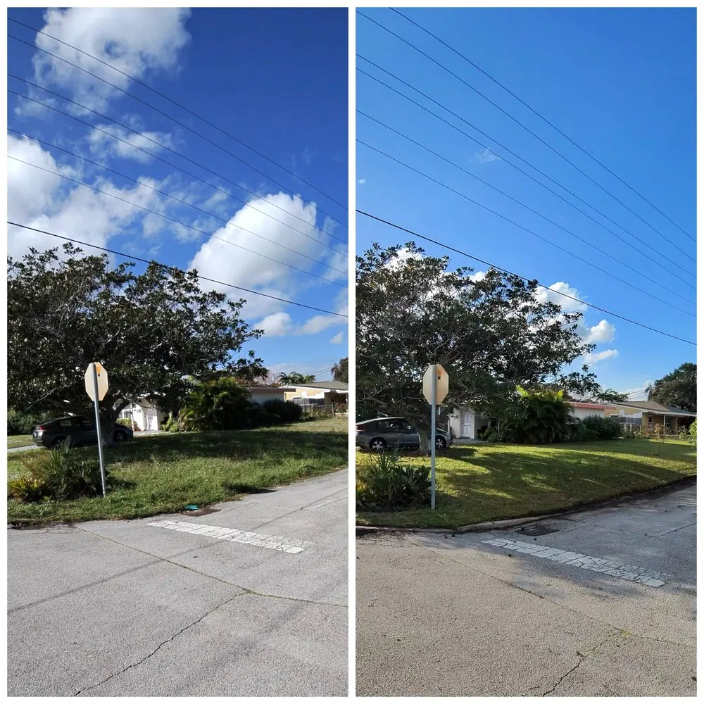 Reliable garden landscaping for beautiful yards across Melbourne, FL - Primal Property Maintenance