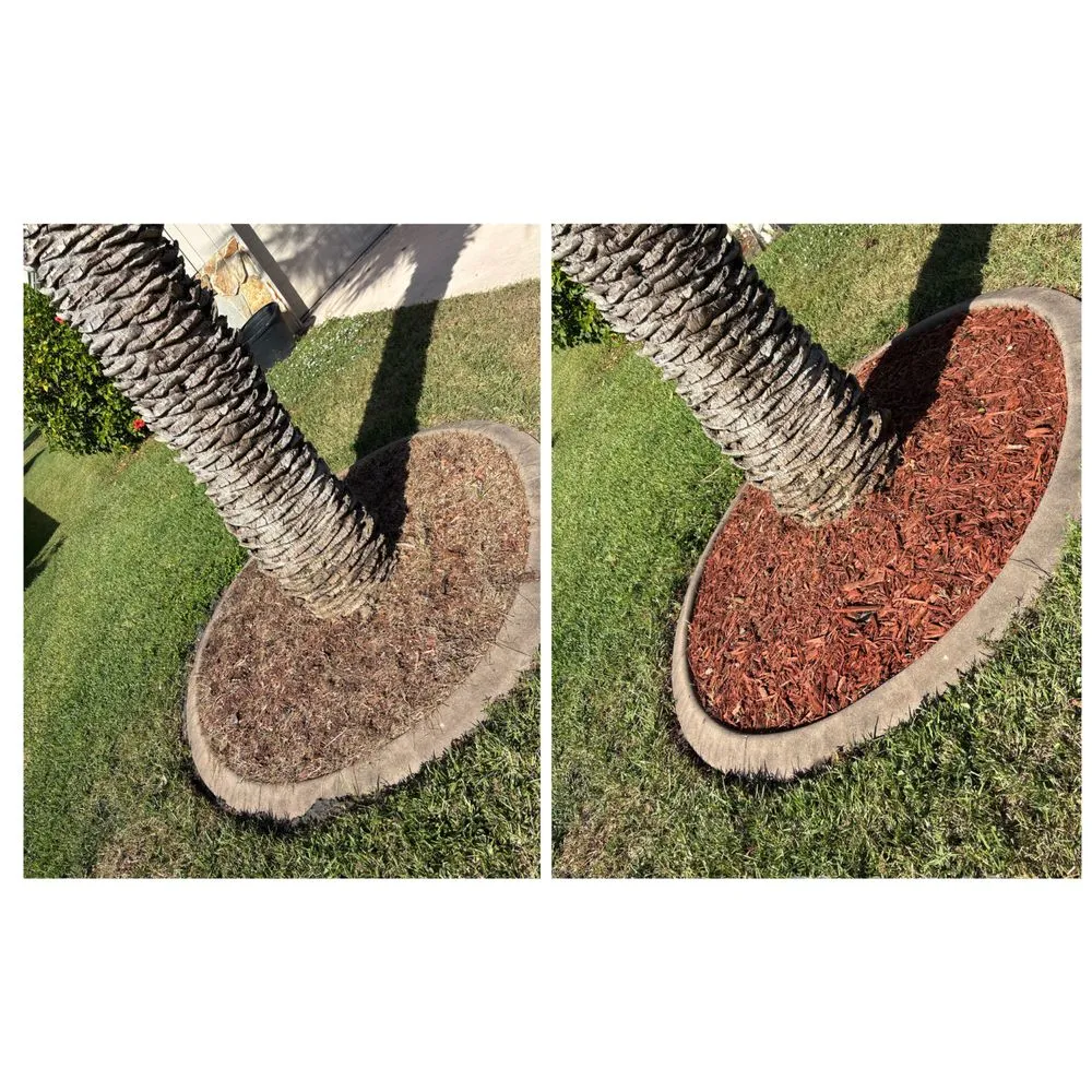 Trusted landscape design for residential properties across Melbourne, FL - Primal Property Maintenance