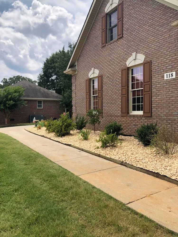 Expert yard cleanup service in Owens Cross Roads, AL - Primarily Ponds