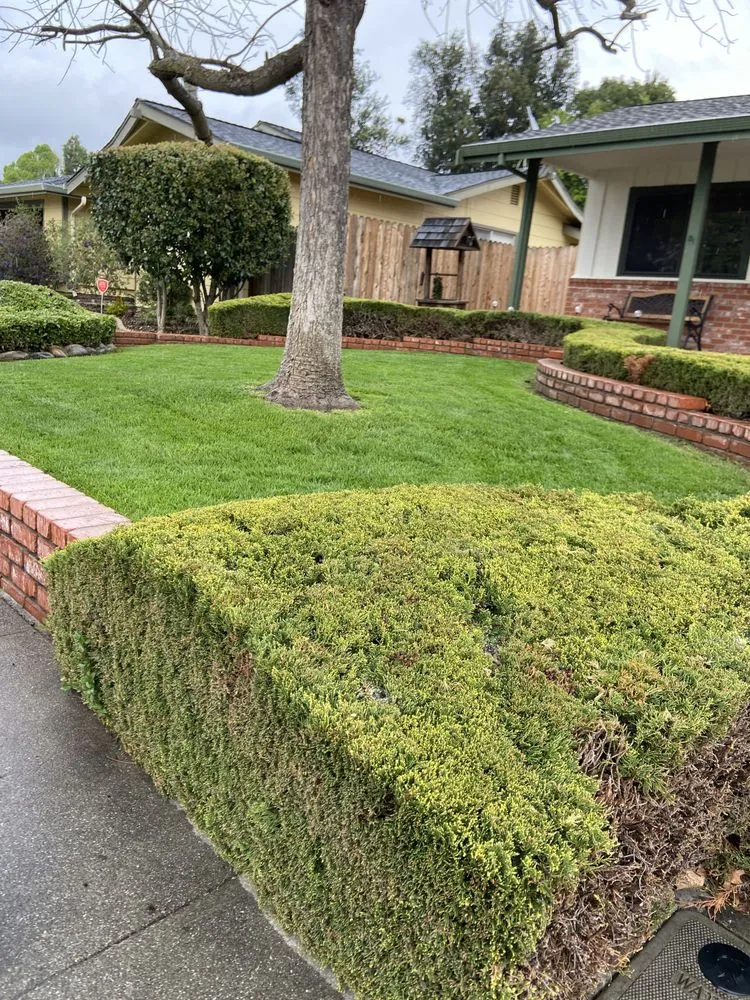 Expert yard maintenance near you across Suisun City, CA - Primary Landcare