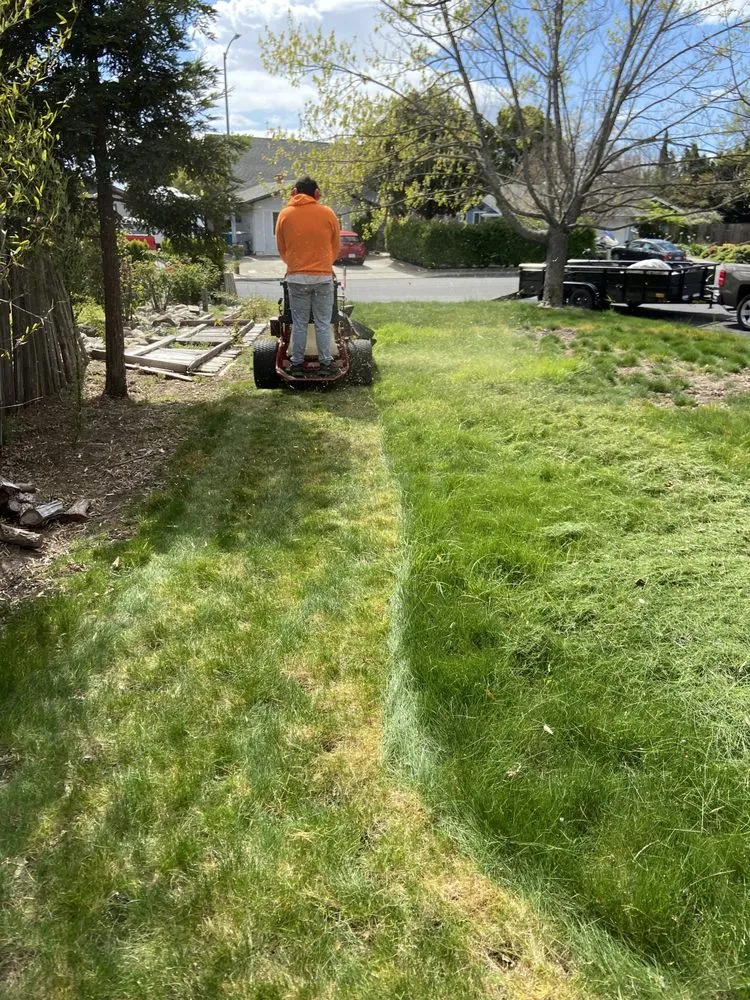 Affordable garden landscaping for homes in Suisun City, CA by Primary Landcare