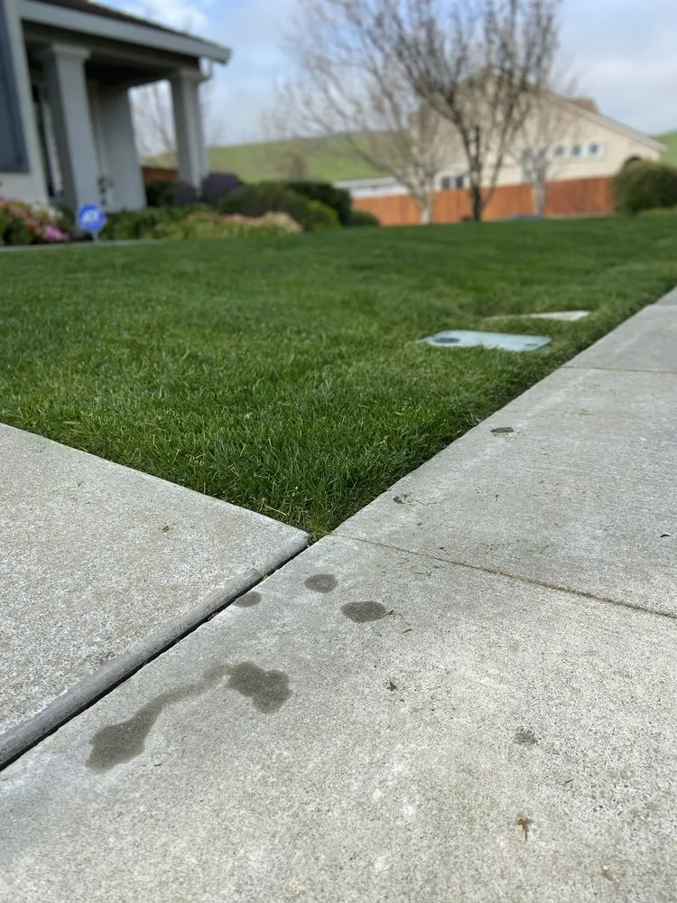 Trusted lawn mowing service for homes in Suisun City, CA by Primary Landcare