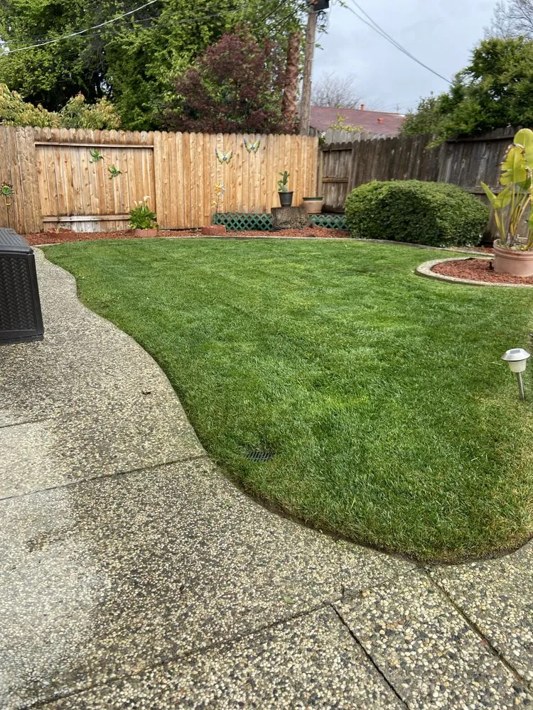 Custom lawn mowing service for outdoor upgrades in Suisun City, CA by Primary Landcare