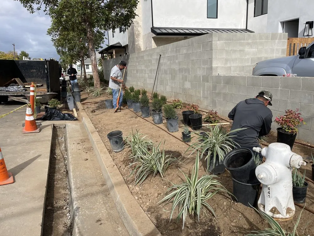 Top-rated lawn care service in Ontario, CA - Primary Landscape