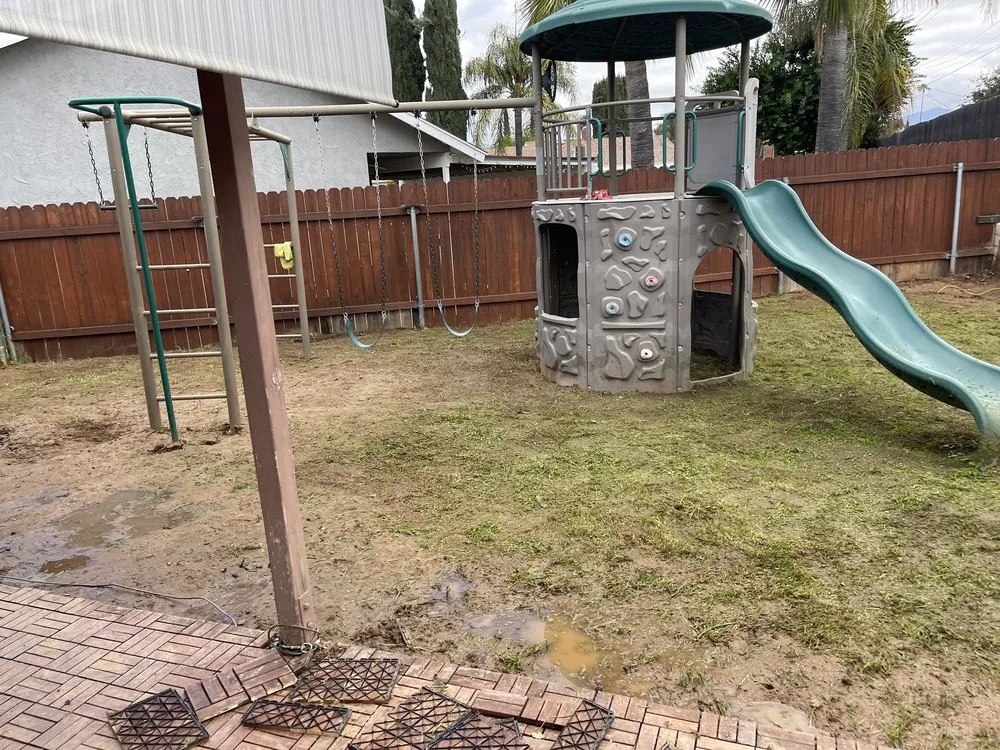 Local garden landscaping for year-round maintenance in Ontario, CA by Primary Landscape