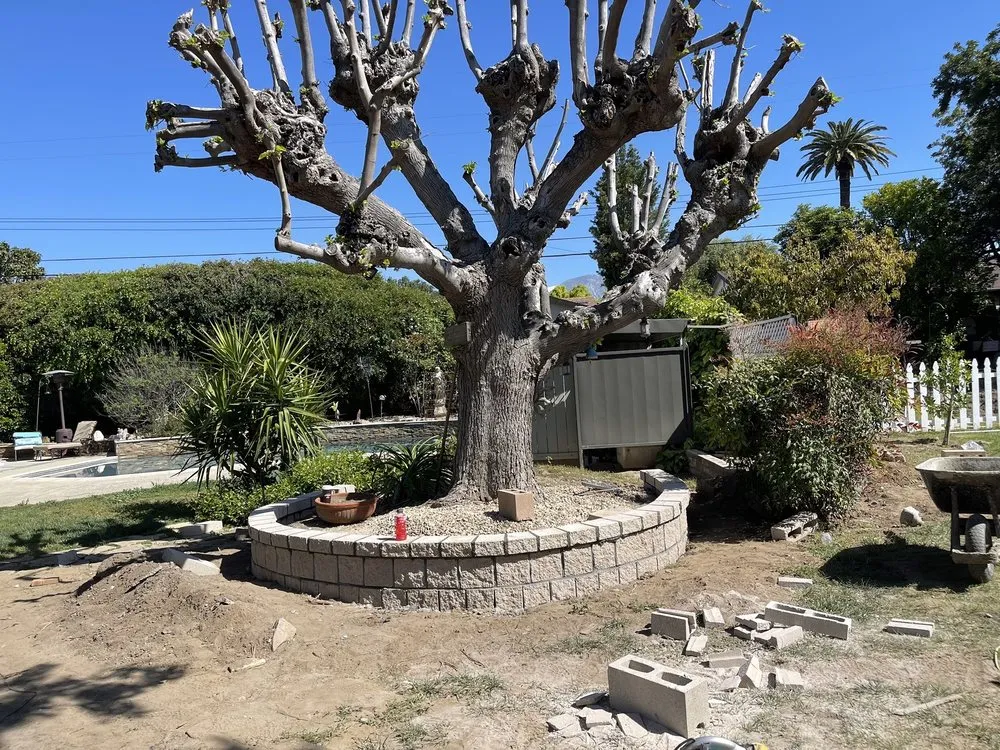 Trusted outdoor landscaping near you across Ontario, CA - Primary Landscape