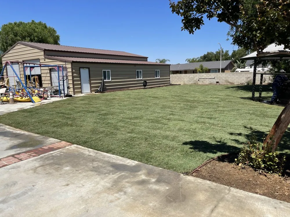 Local yard cleanup service experts serving Ontario, CA - Primary Landscape