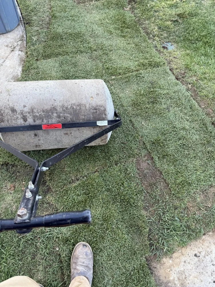 Professional residential landscaping for outdoor upgrades in Encinitas, CA by Primary Landscapers