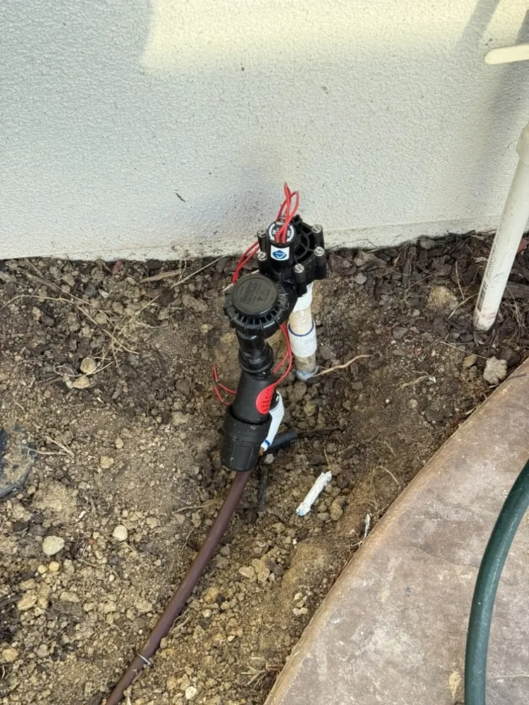 Reliable landscaping services for year-round maintenance across Encinitas, CA - Primary Landscapers