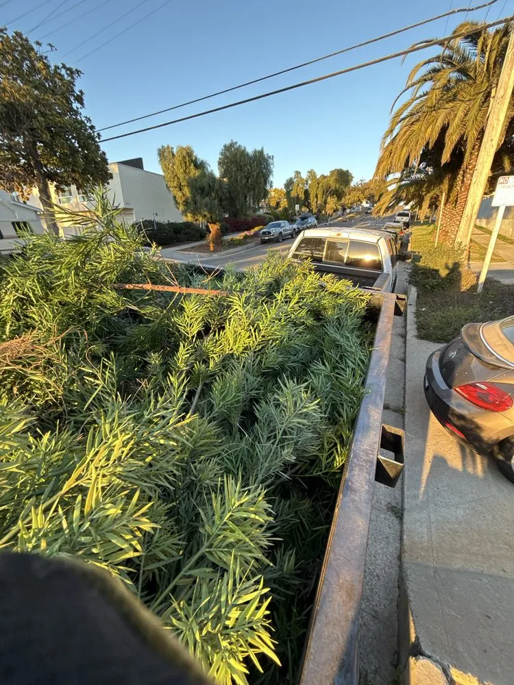 Top-rated garden landscaping experts serving Encinitas, CA - Primary Landscapers