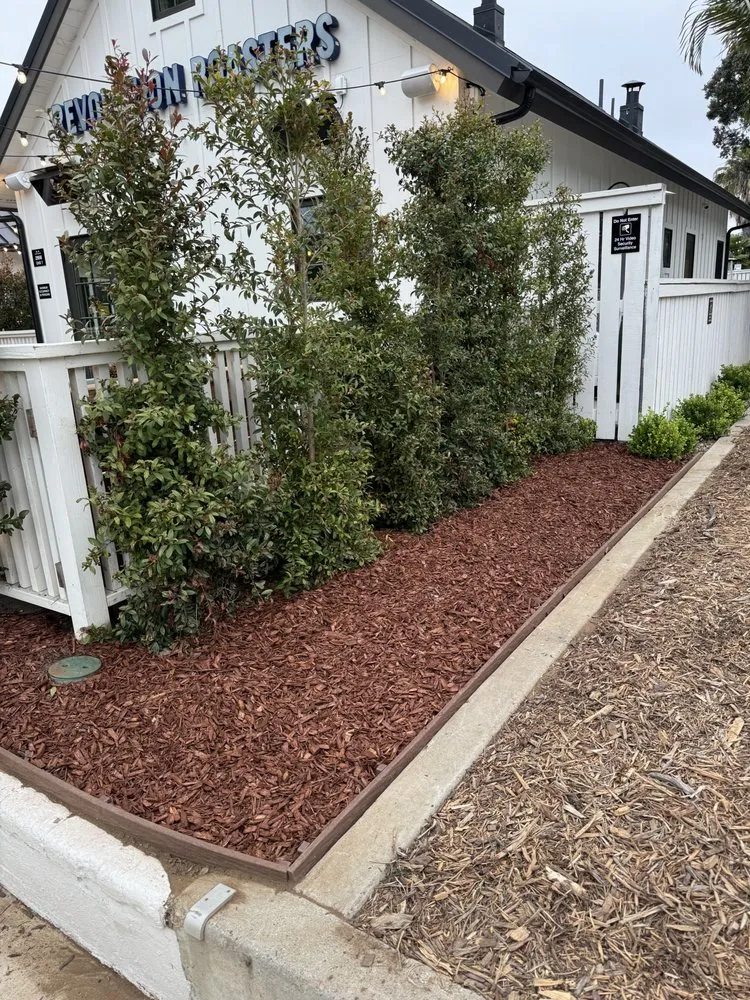 Professional landscape design in Encinitas, CA by Primary Landscapers