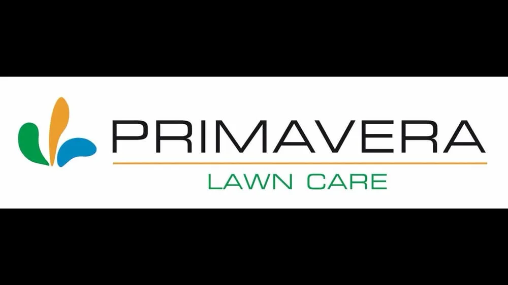 Top-rated garden landscaping experts serving Lake Hughes, CA - Primavera Gardens