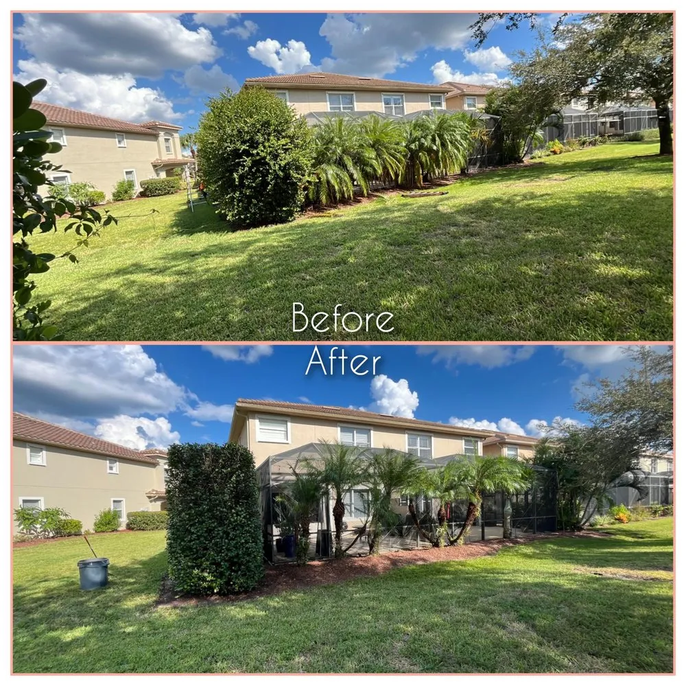 Top-rated residential landscaping for residential properties in Immokalee, FL by Primavera Landscape & Maintenance