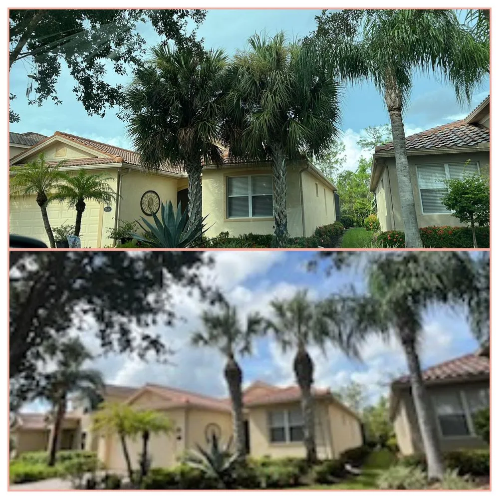 Reliable lawn mowing service near you across Immokalee, FL - Primavera Landscape & Maintenance