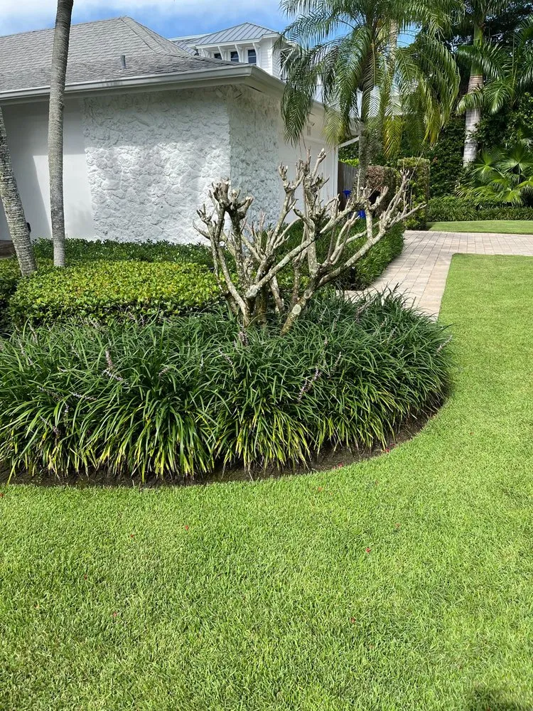 Top-rated landscape design in Immokalee, FL - Primavera Landscape & Maintenance