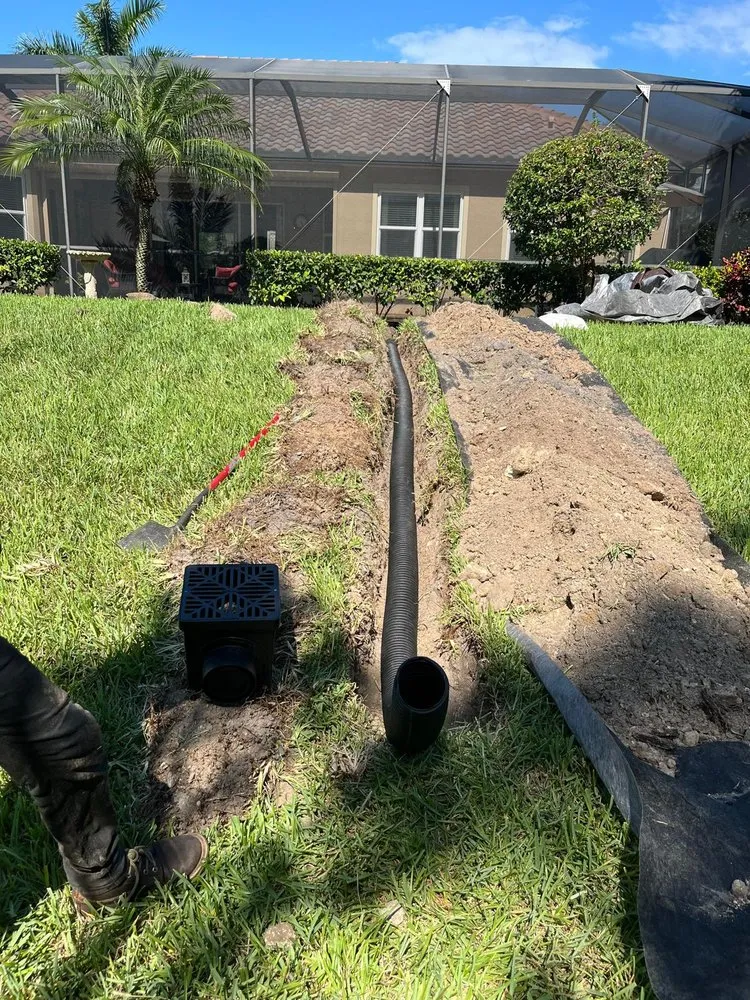 Local landscape design in Immokalee, FL - Primavera Landscape & Maintenance