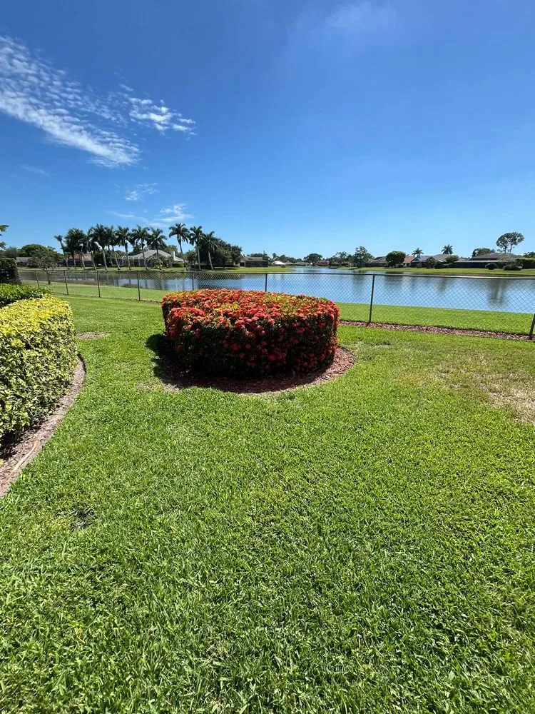 Professional yard maintenance in Immokalee, FL by Primavera Landscape & Maintenance