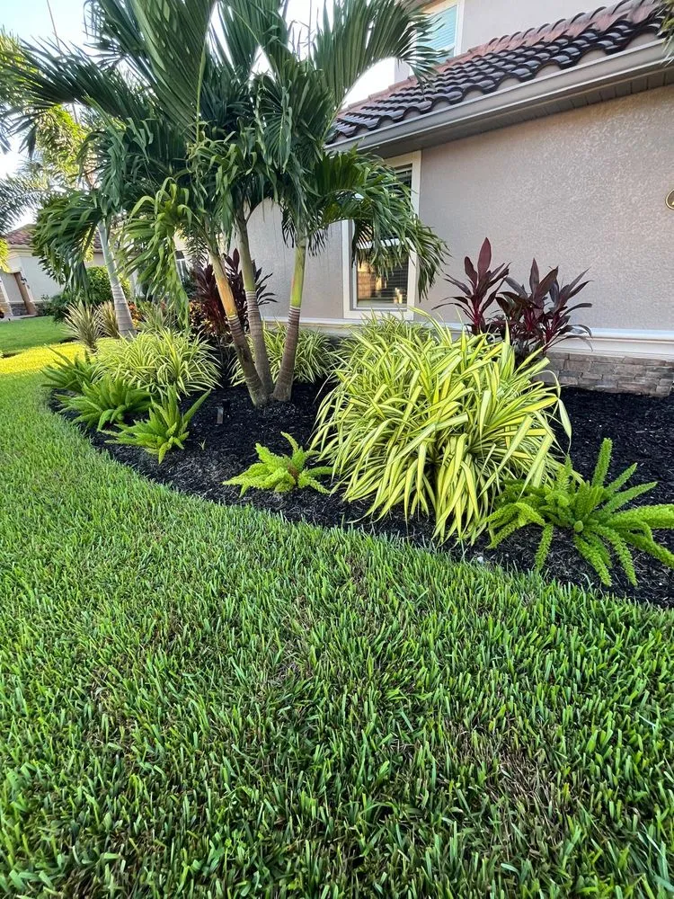 Expert landscape installation for beautiful yards in Immokalee, FL by Primavera Landscape & Maintenance