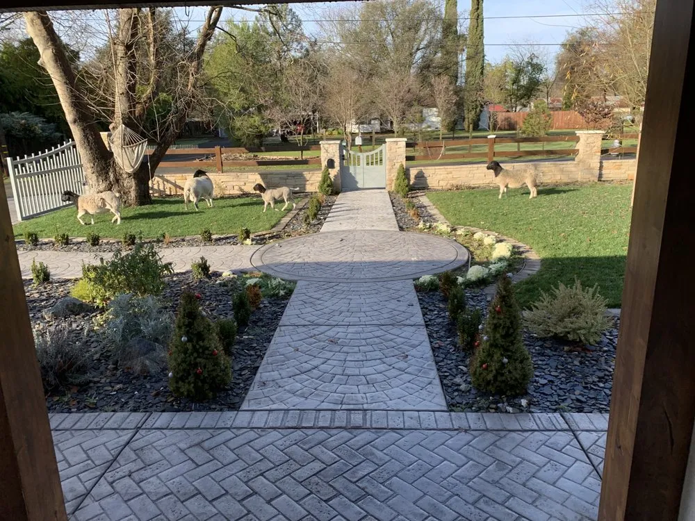 Reliable yard maintenance in Rocklin, CA - Primavera Landscape