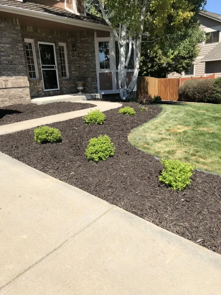 Trusted yard maintenance in Northglenn, CO - Primavera Landscaping And Construction