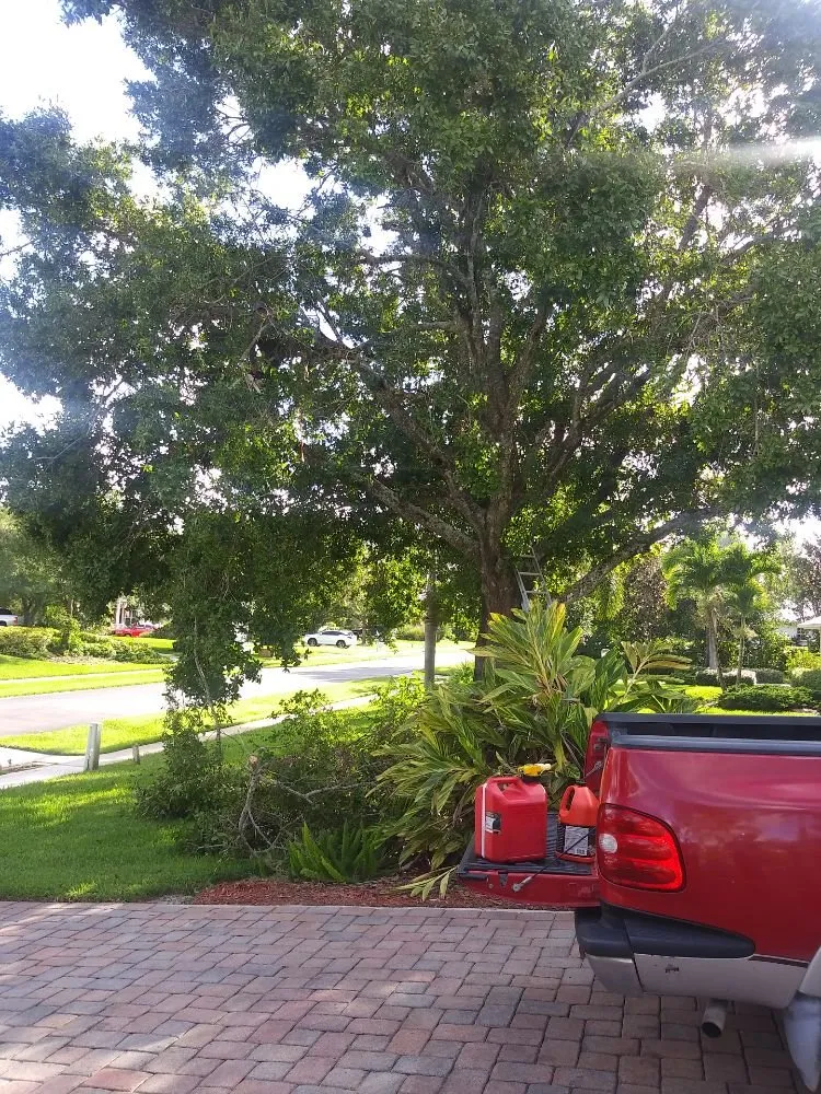 Reliable landscape design in Palm City, FL - Primavera landscaping