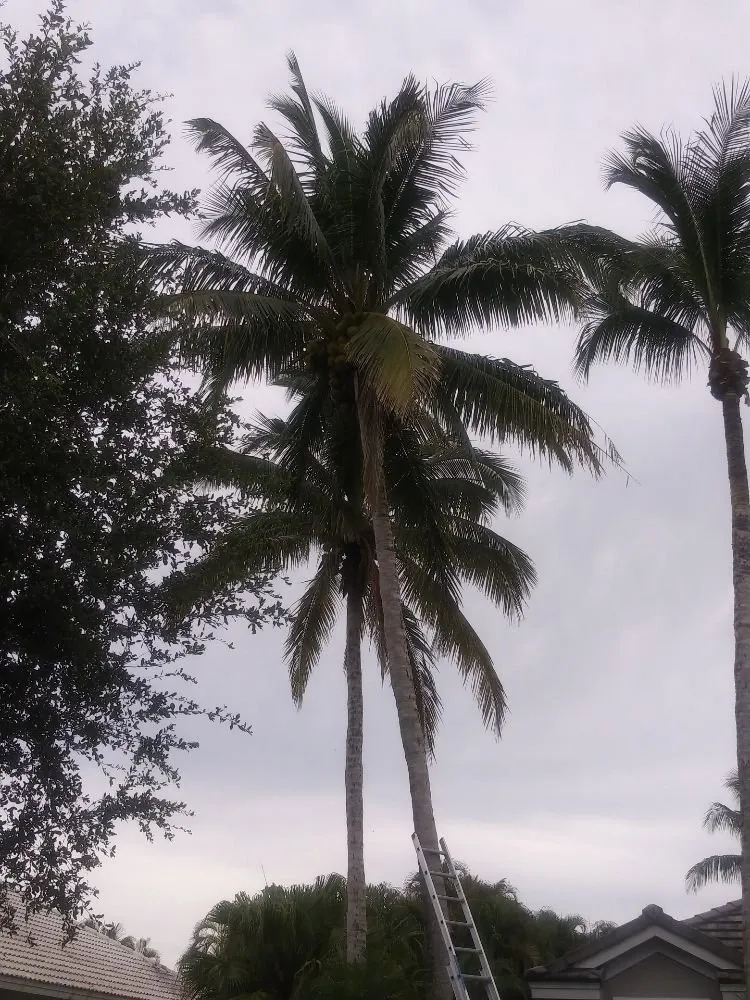 Reliable garden landscaping in Palm City, FL by Primavera landscaping