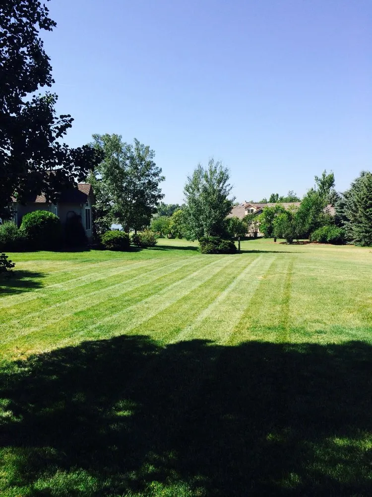 Expert yard cleanup service experts serving Fort Collins, CO - Prime Cut Landscape