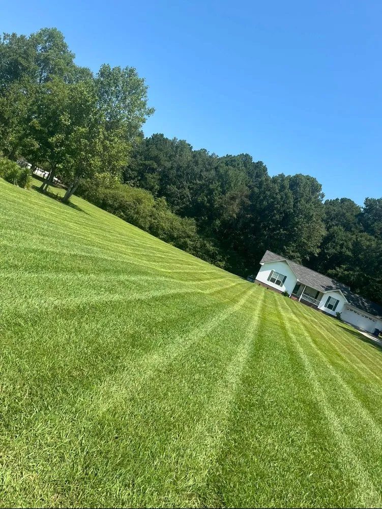 Professional yard maintenance in Murfreesboro, TN by Prime Cut Landscape Lawn Care