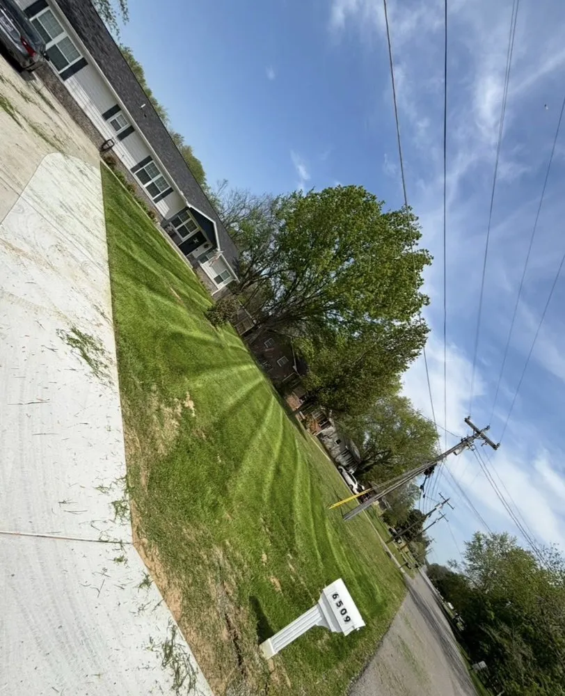 Custom yard cleanup service in Murfreesboro, TN by Prime Cut Landscape Lawn Care