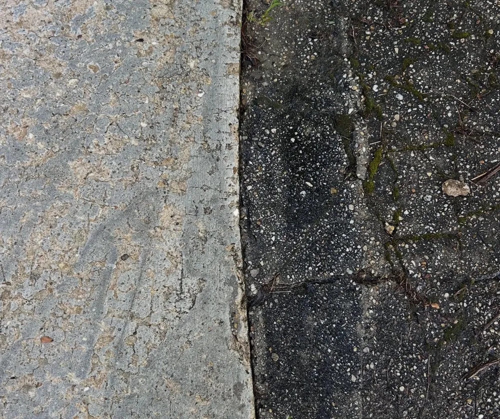 Affordable yard cleanup service for homes across Crawfordville, FL - Prime Cut Landscapes