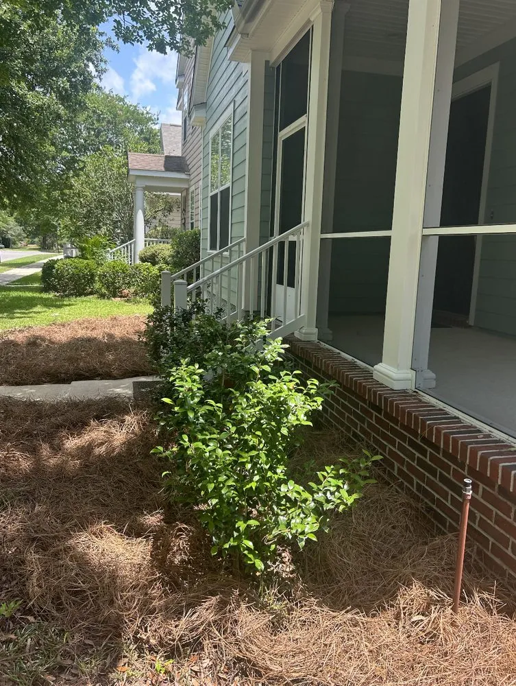 Expert landscaping services for year-round maintenance across Crawfordville, FL - Prime Cut Landscapes