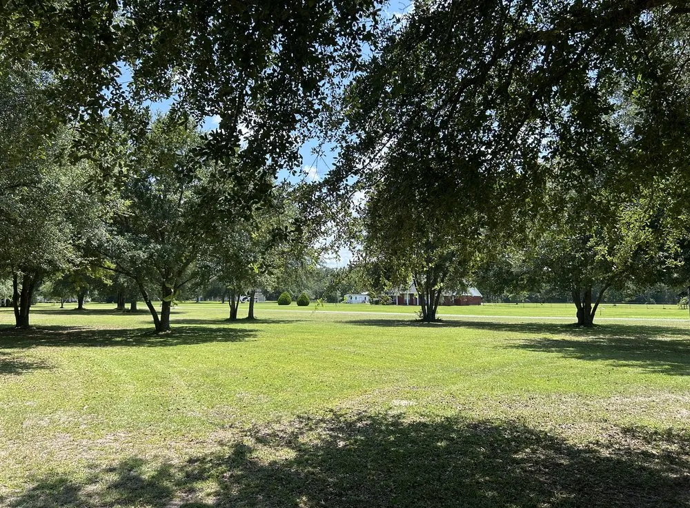 Professional landscape installation in Crawfordville, FL by Prime Cut Landscapes