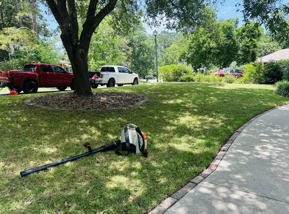 Affordable yard cleanup service for beautiful yards across Crawfordville, FL - Prime Cut Landscapes