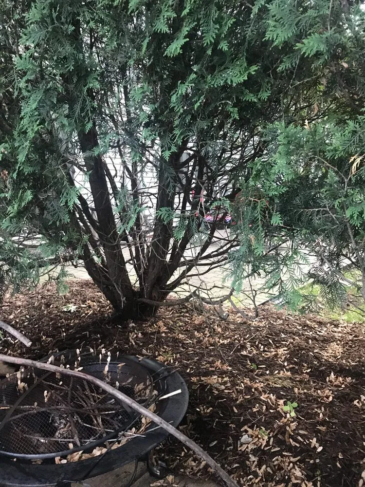 Custom landscape design for year-round maintenance across Oswego, IL - Prime Cut Lawn Care