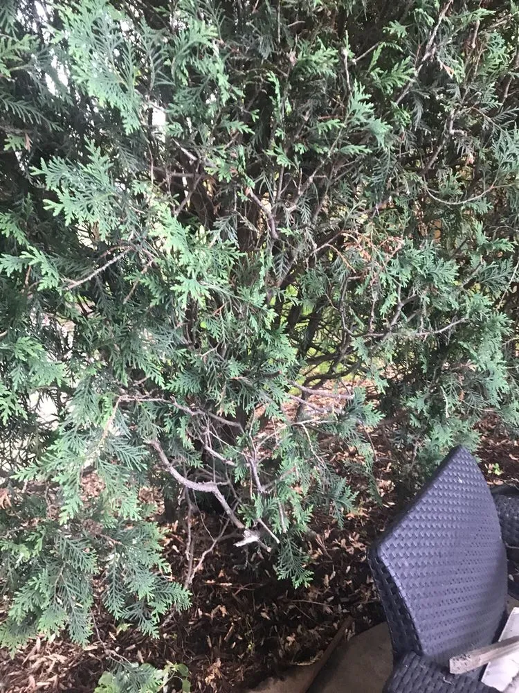 Trusted lawn mowing service experts serving Oswego, IL - Prime Cut Lawn Care