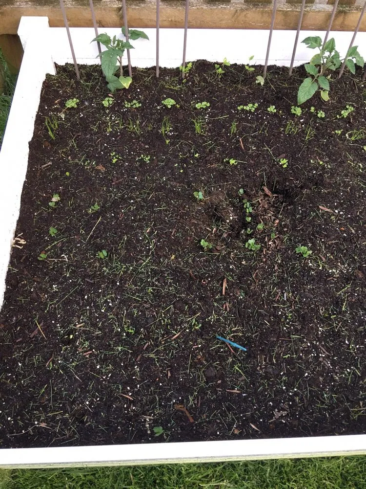 Reliable residential landscaping experts serving Oswego, IL - Prime Cut Lawn Care