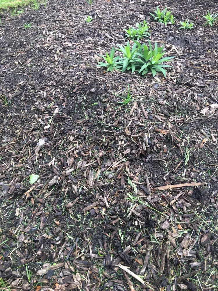 Trusted outdoor landscaping experts serving Oswego, IL - Prime Cut Lawn Care